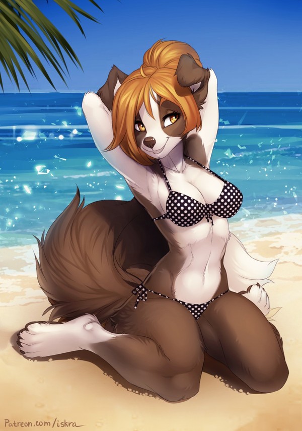 Beach shoot - Iskra, Art, Furry, Anthro, Furry canine