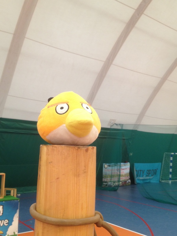    ...  ,  , Angry Birds, 