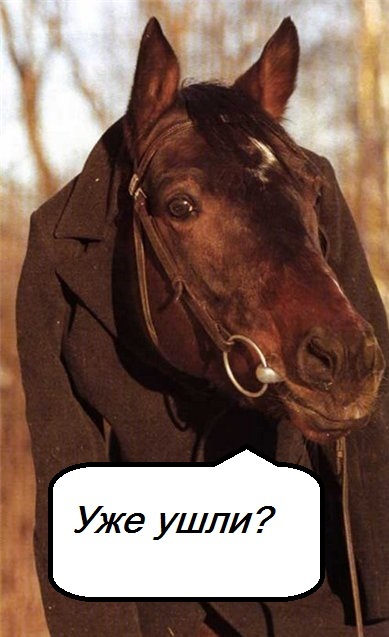 Когда на Пикабу становится слишком много айнанэ..