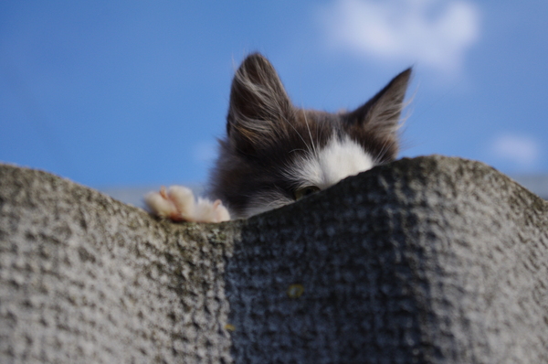 ������� �� ����� ?