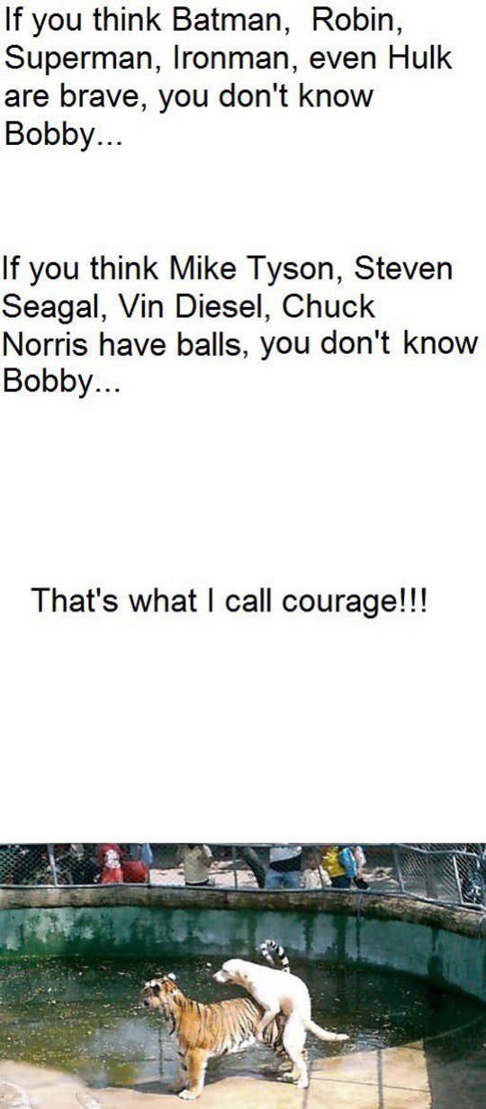 Если вы думаете что Бэтмен...Халк храбры, вы не слышали о Бобби; Вот что я называю отвагой!!!
