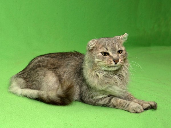 ����� �� ��� � �� ������� ����� ������.