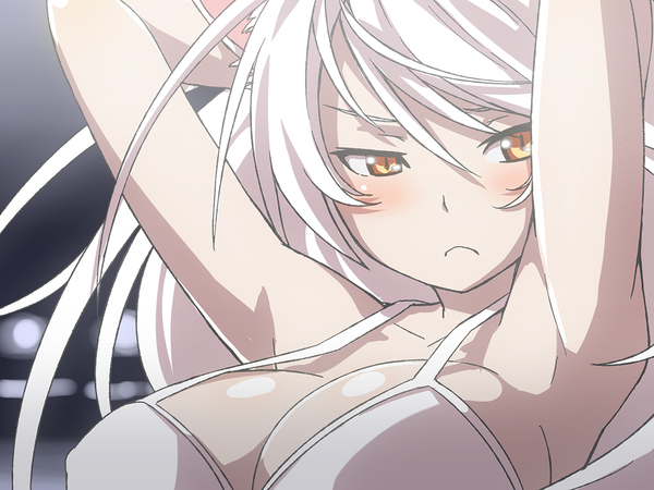 Neko №30 - NSFW, Anime, Anime art, Nekomonogatari, Neko