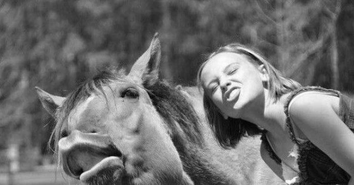 Добрая смелая веселая. Смешные девушки. Лошадь смеется. Смешные фото. Лошадь с девушкой смеется.