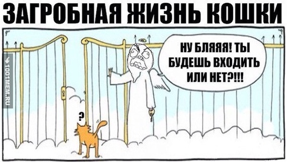 ������� ���� � ������� ������