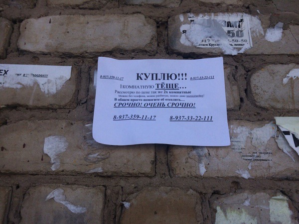 ���� ����