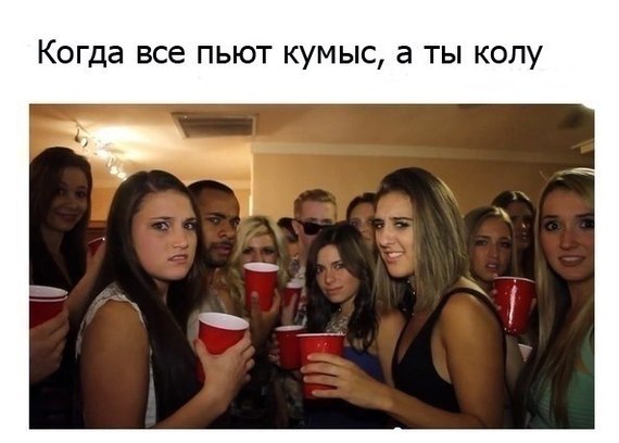 ����������������  � �������