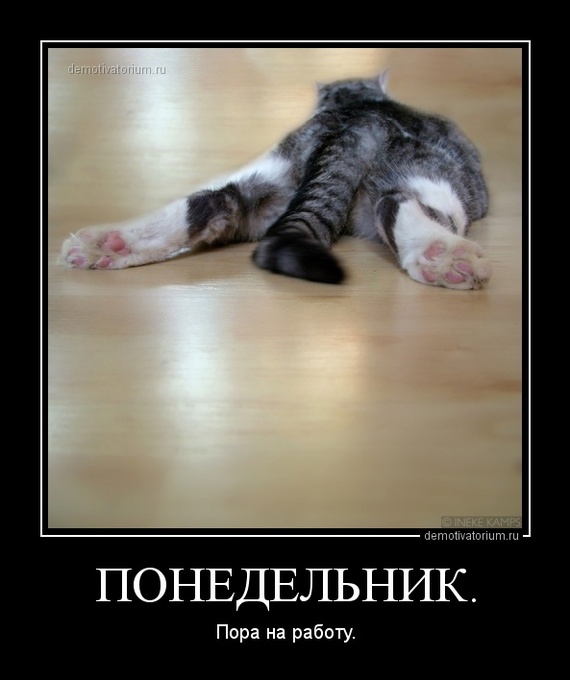 �����������. ���� �� ������.