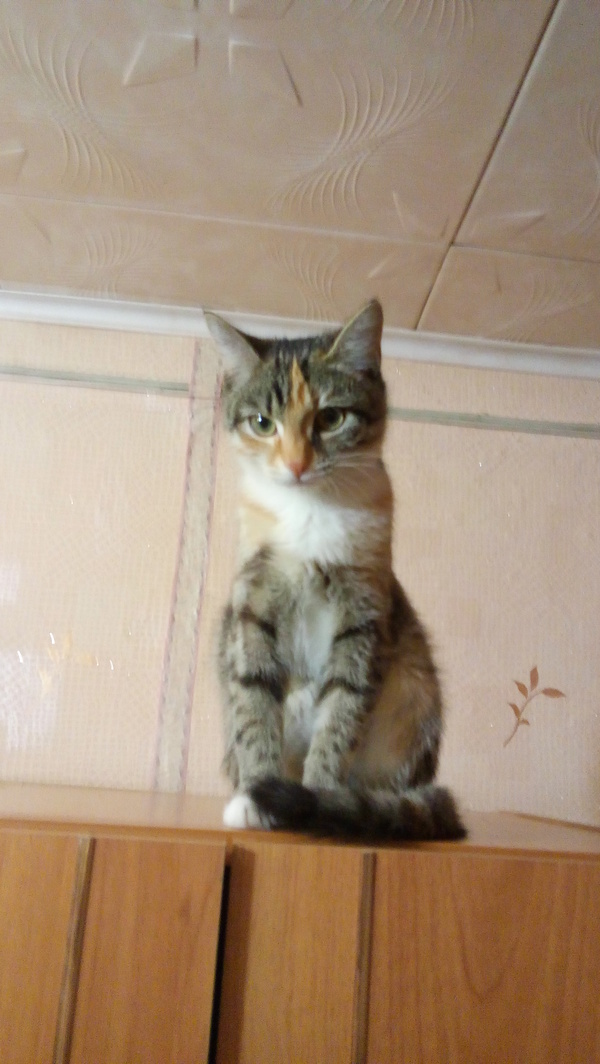 А это Люська...