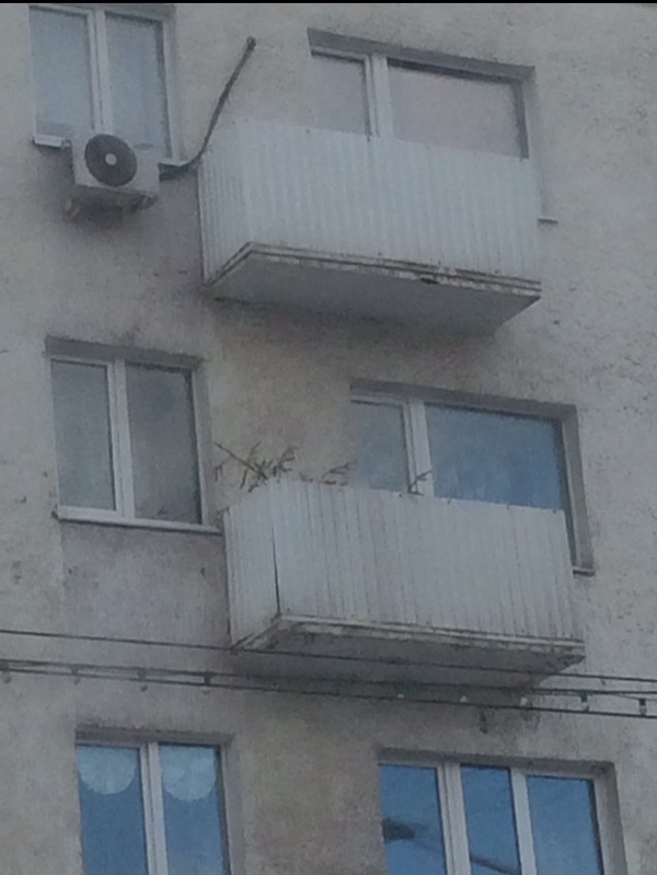 � �� �������� ���� ? �� ������ ���