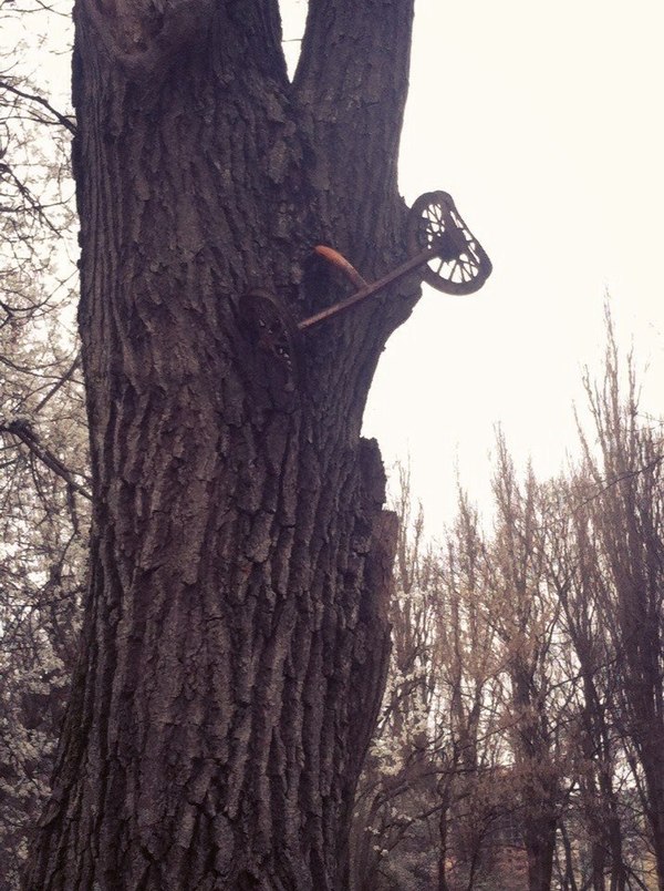 ���������, ��������� ����