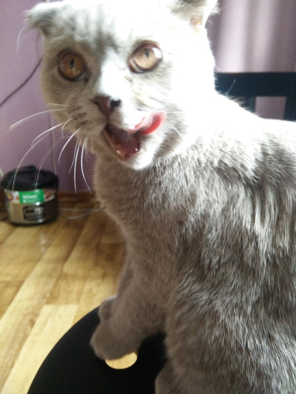 �������� ���