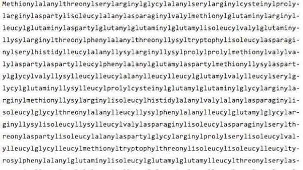 Самое большое слово в мире.