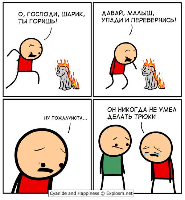 Почему важно дрессировать собак