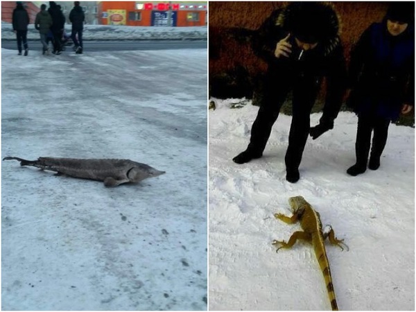 � ��������� ����� ���������� ������ ����� ����� �� ��� � �����!