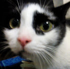 � ������ ������ ���� ����� � ����� ��� ����� ������ ��������.