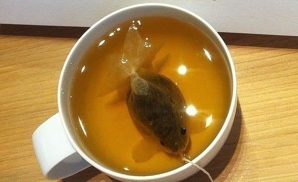 Чайный пакетик в виде рыбки