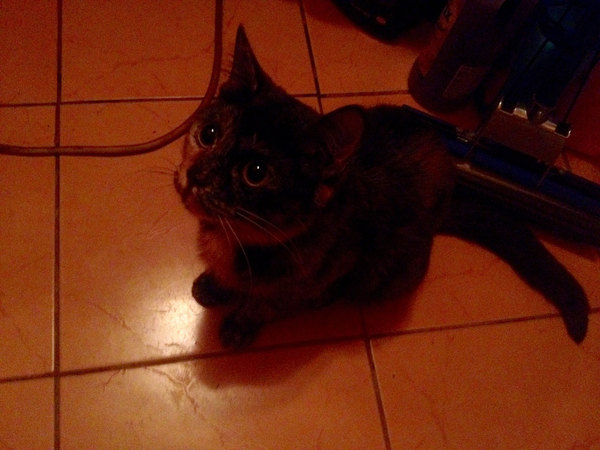 ����� ����� ������-��������������