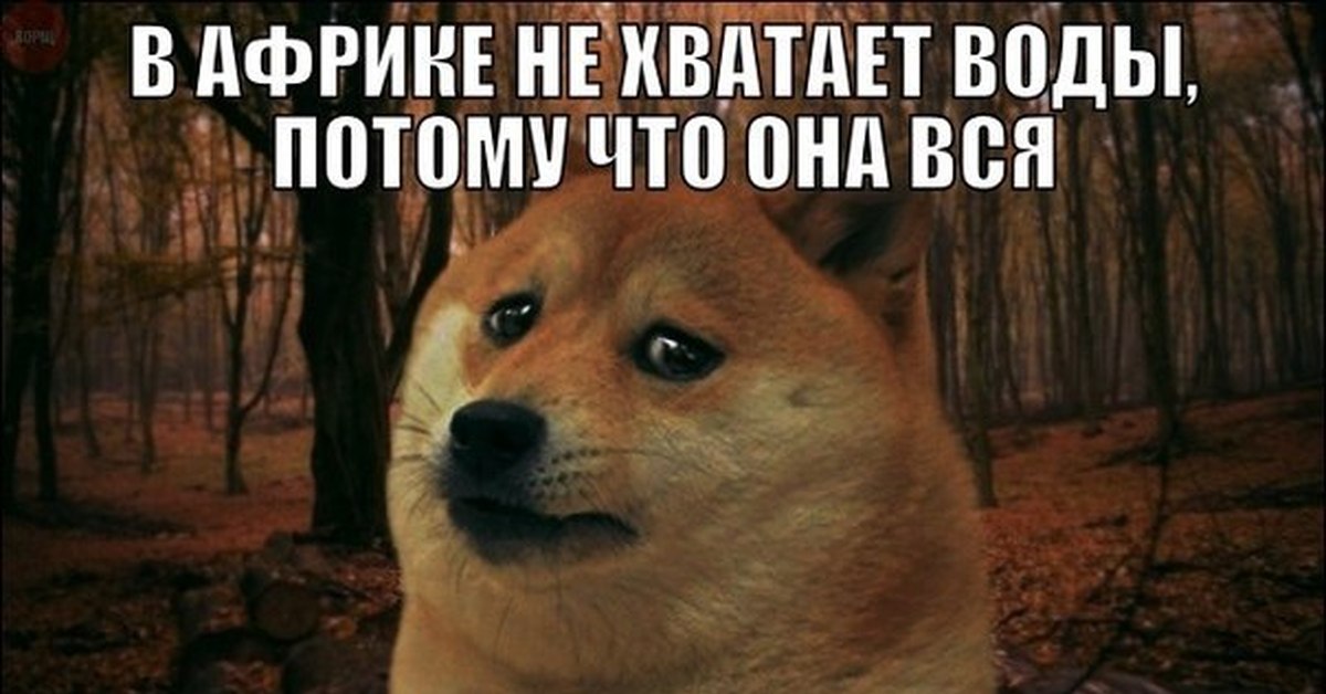 Смешные картинки дипломов