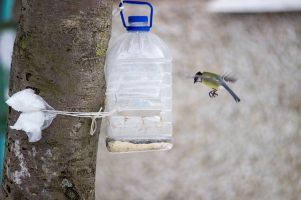 &quot;  !  &quot; &quot;