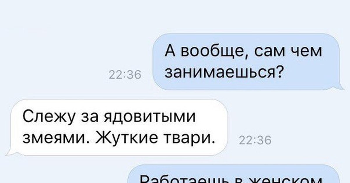 Следите за сообщениями в. Мужчина в женском коллективе прикол. Высказывание о женском коллективе. Женский коллектив прикол. Шутки про бабский коллектив.