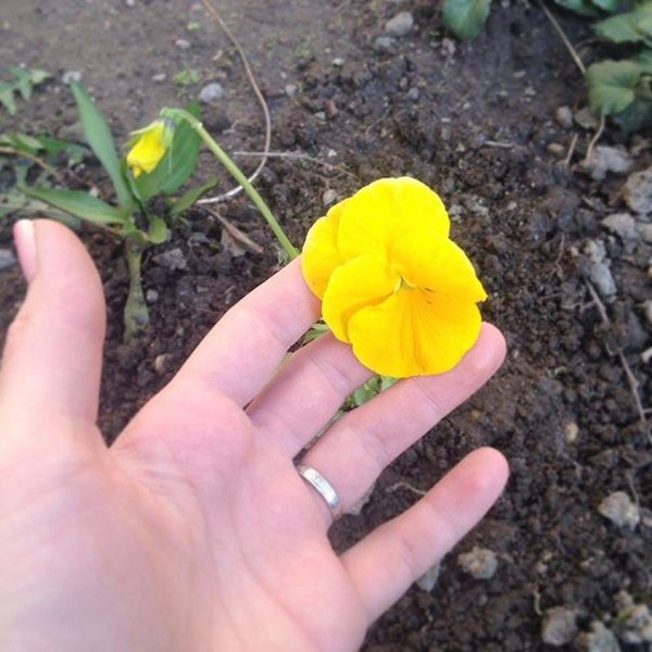      :) , , ,  , 
