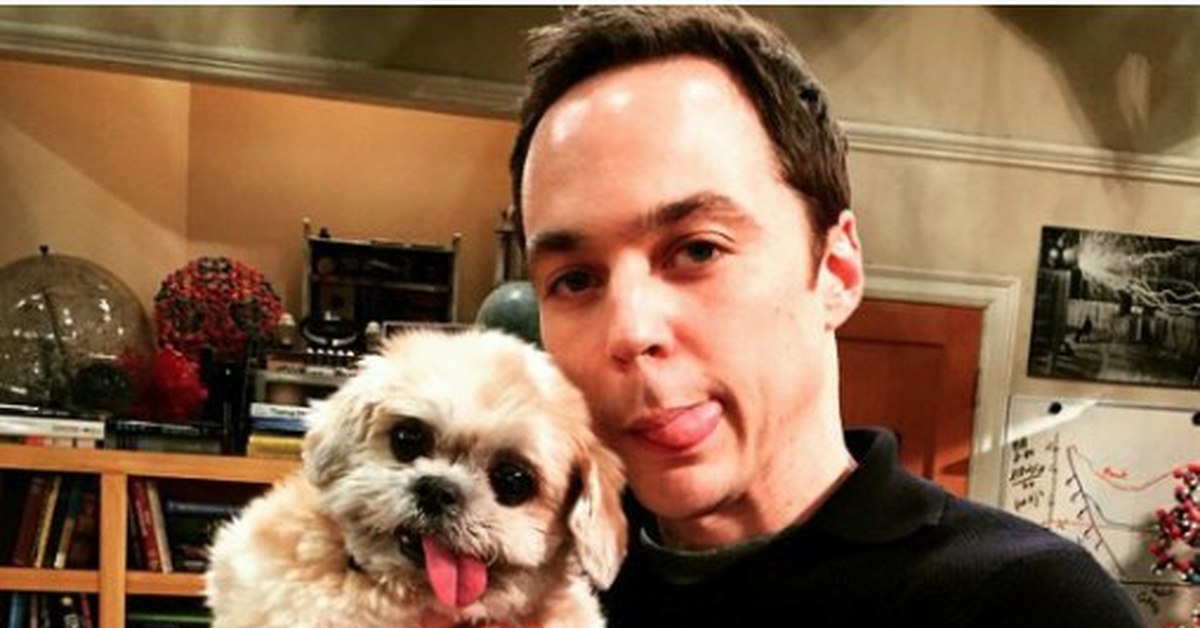 Шелдон купер. Шелдон собака. Шелдон купер с усами. Теория большого взрыва шелдон. Шелдон купер 73.