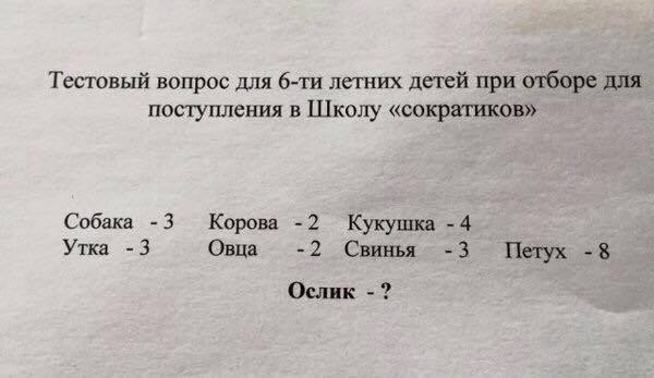 Сократик | Пикабу