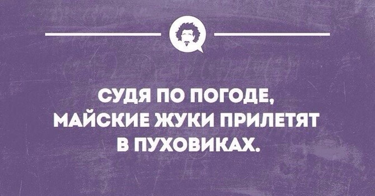 Майские жуки прилетят в пуховиках картинки