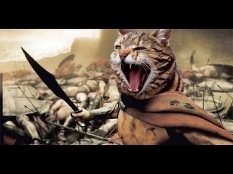 ���� �� ������ �������� � ������� ������