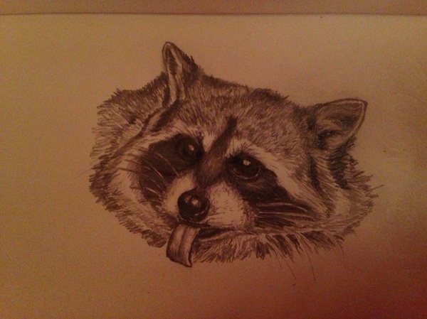 ��������� ����