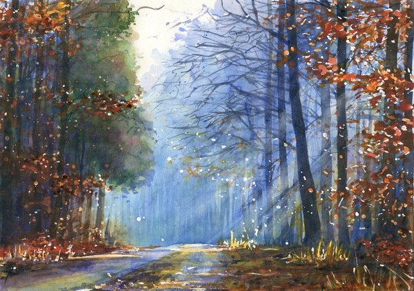 Forest in blue Joanna Rosa, Forest in Blue, , , 