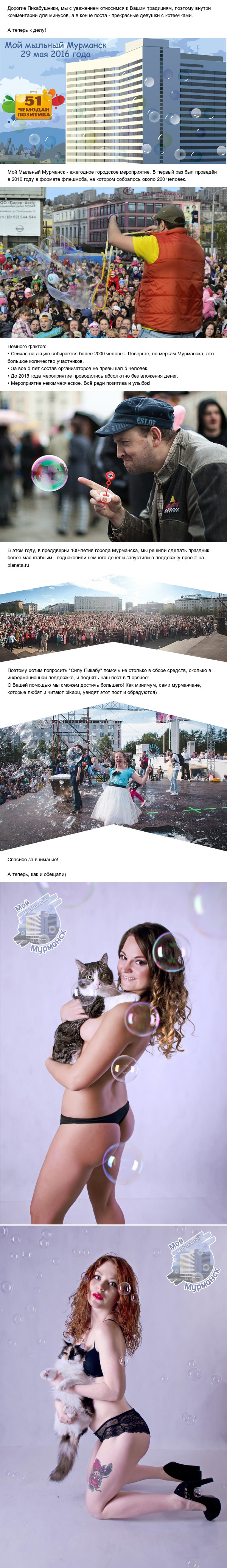 Festival My soapy Murmansk - NSFW, My, Murmansk, , Bubble, Girls, cat, Longpost