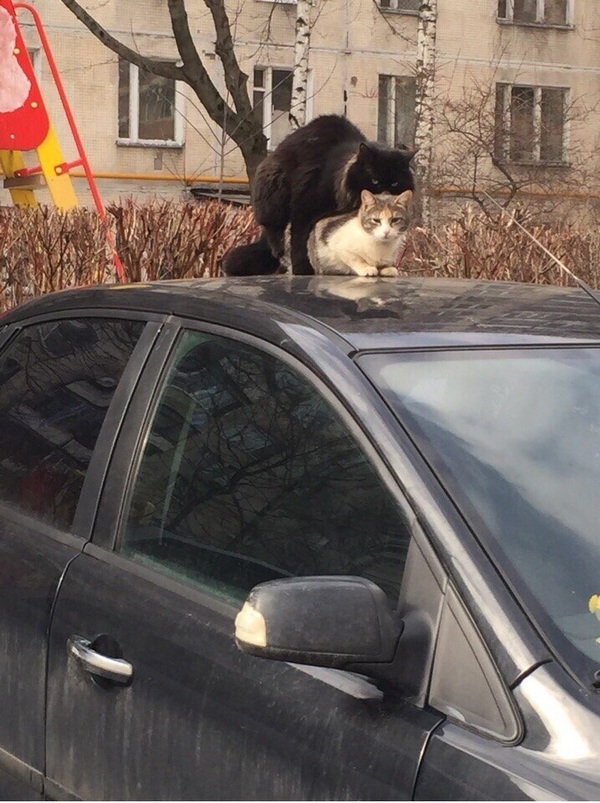 ��-����� � ����� ����.