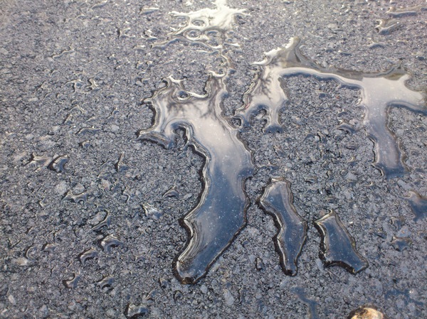 ������ ���� �� ����� ��������