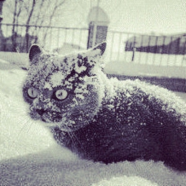  .Murmansk edition. , , 
