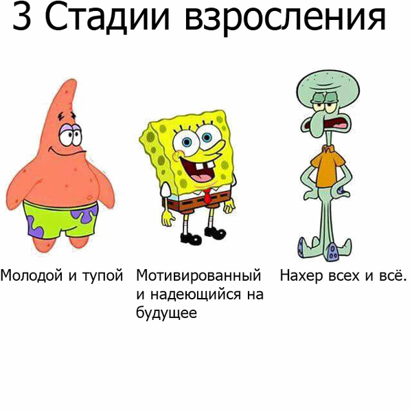 ������ ����������