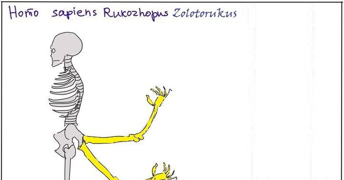 Homo surabaya. Рукожоп карикатура. Хомосапиенс рукожопус. Руки из задницы рентген. Золотые руки рукожоп.