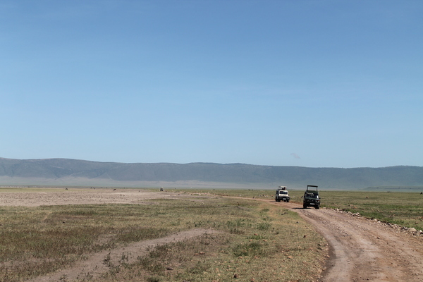 ������ � ������