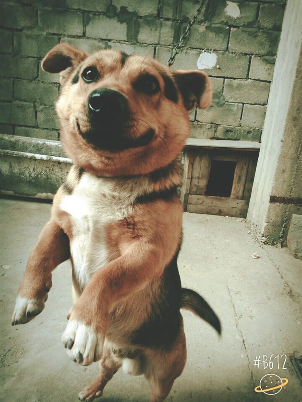 ������-�������