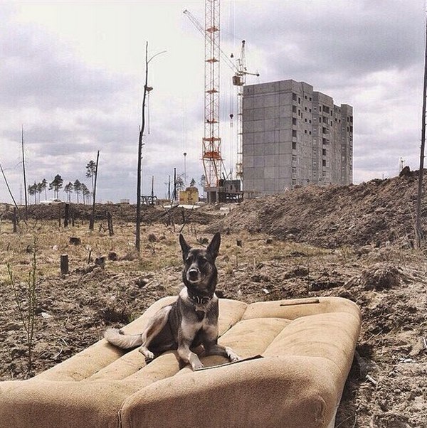 ������ �� ������