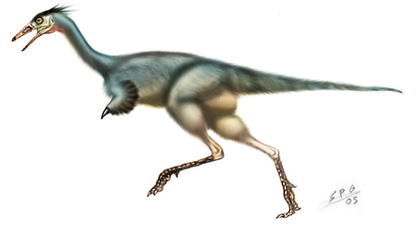  , , Alvarezsauridae, , Mononykus, , ,  , 