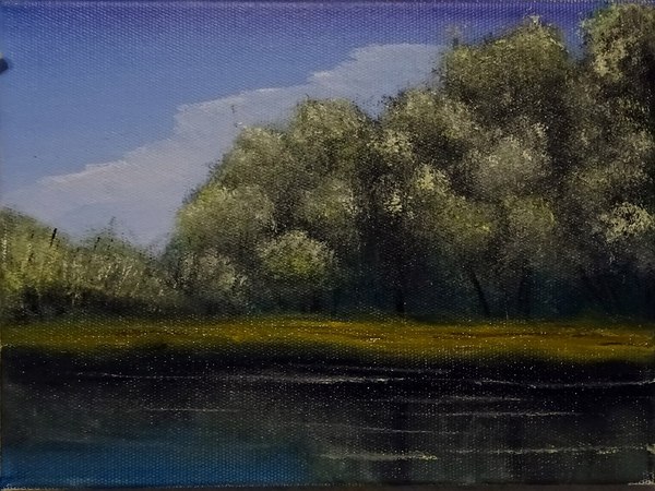 На берегу реки. Масло. Холст на картоне.(еще один эксперимент)