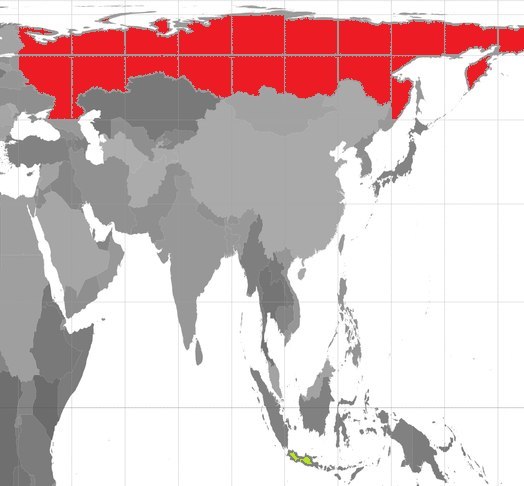 Примерные размеры России на карте, согласно проекции галла-петерса.