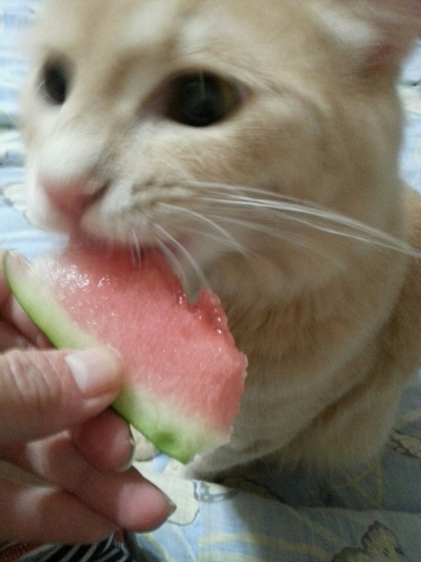 ���� ����� � �������