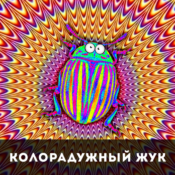 Колорадость-2