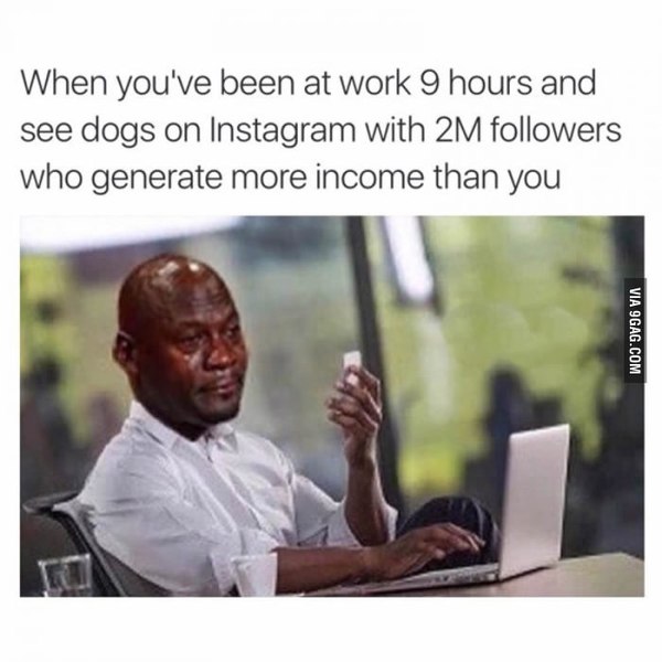 Что за жизнь?