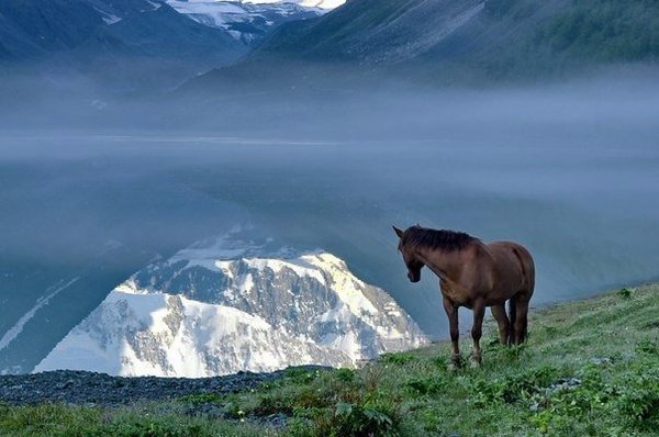 Отражение горы Белуха в озере Аккем, Алтай, Россия