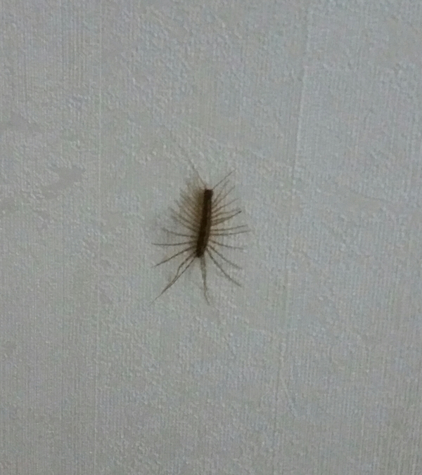 ��� ��� ��� �� �����??? � ��� ����� � ������� ������� � ��������?