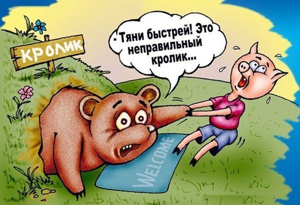 Как Винни пух  в гости сходил